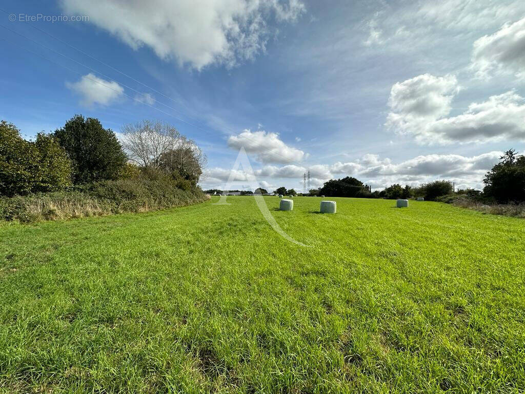 Terrain à MAYENNE