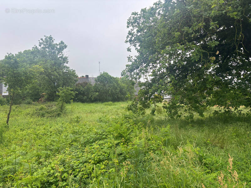 Terrain à RENAC