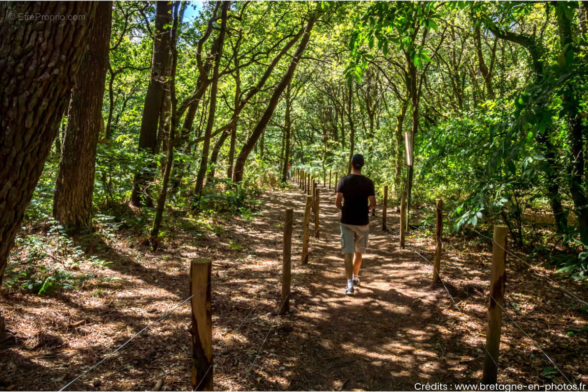 Terrain à PLOUHINEC