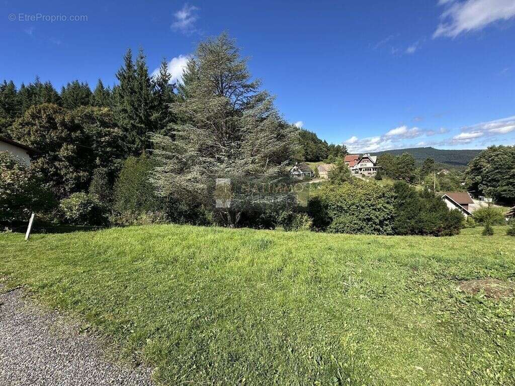 Maison avec vue imprenable - photo 6