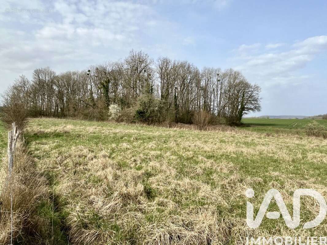 Photo 2 - Terrain à MONTFEY