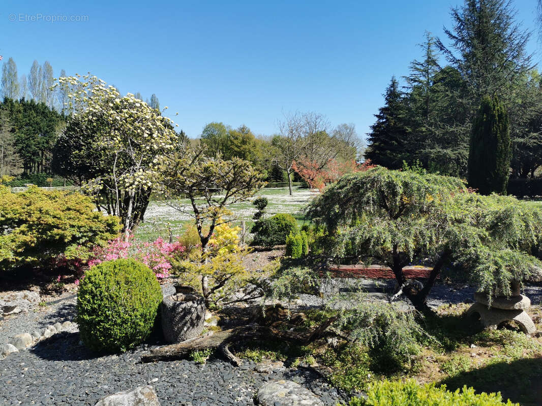 Maison à ROMORANTIN-LANTHENAY
