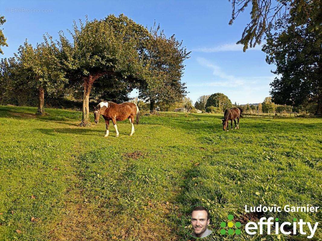 Maison à LE MESNIL-GILBERT