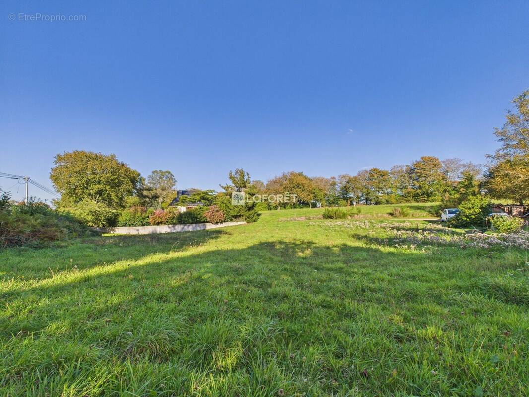 Terrain à PLEUVEN