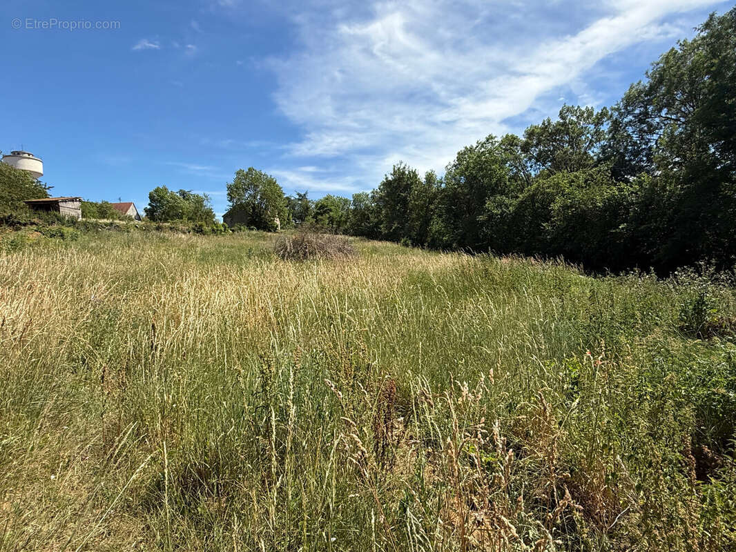 Terrain 3162 m² à Montgivray  - photo 2