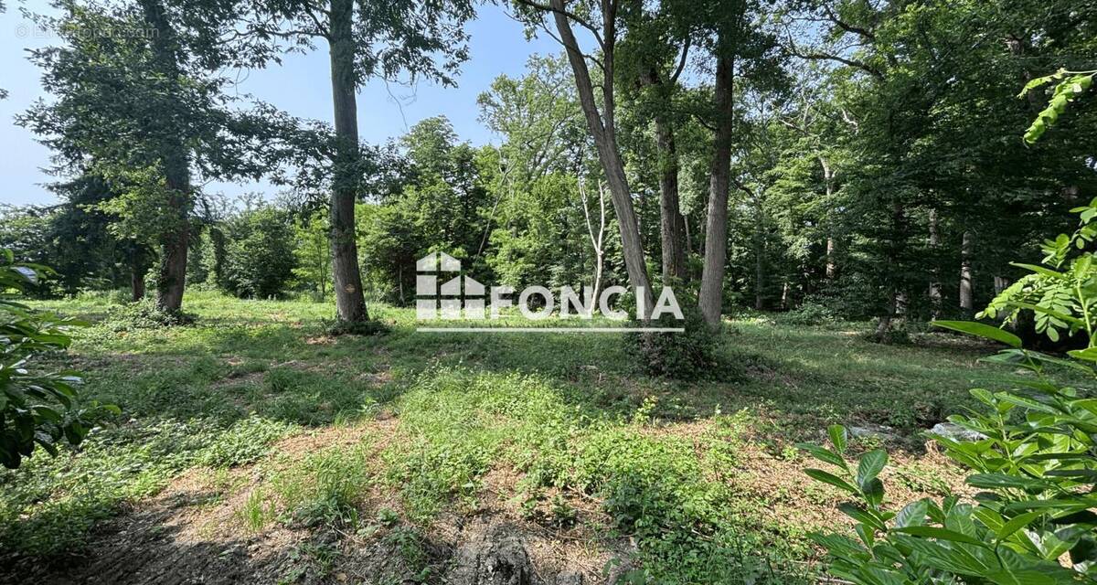 Terrain à CELLETTES