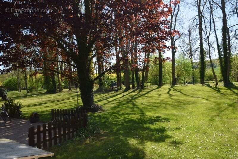 A découvrir à villemoiron en othe (10) - photo 4