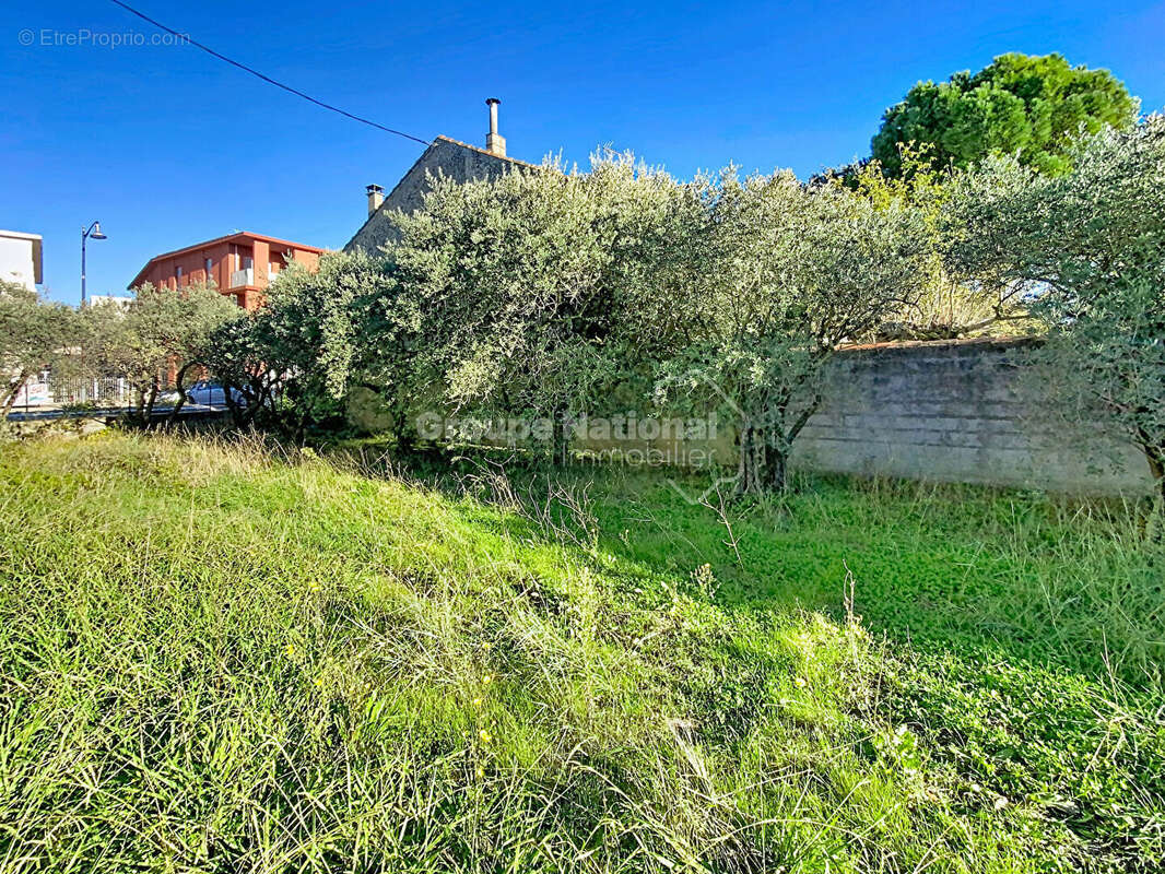 Terrain à CHEVAL-BLANC