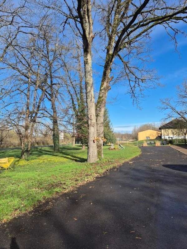 Commerce 405 m² à Mesves-Sur-Loire  - photo 7