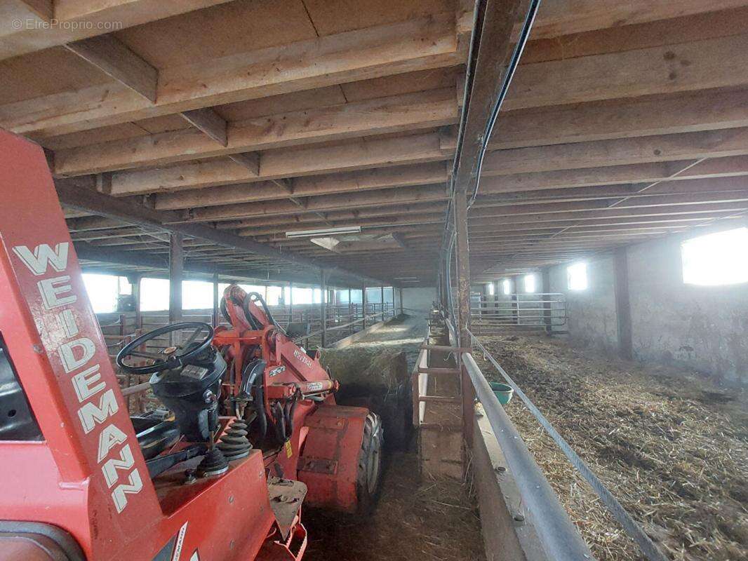 Maison à SAINT-LAURENT-EN-BRIONNAIS