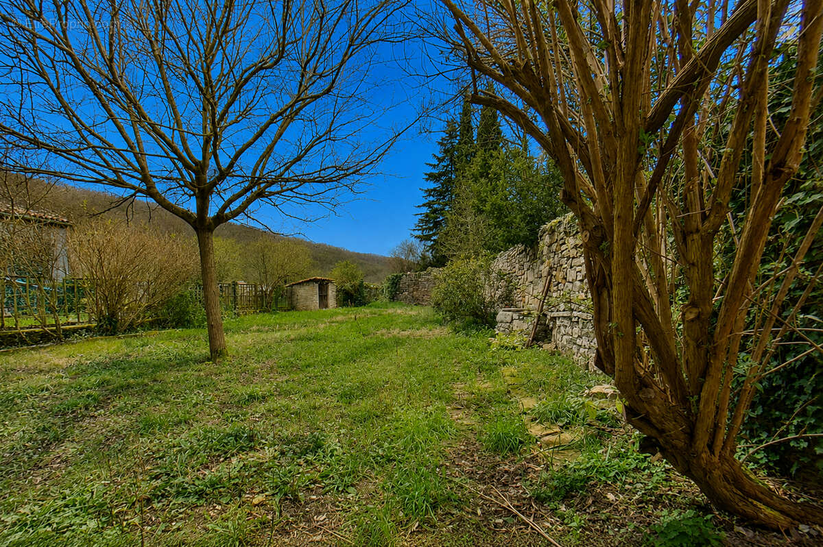 Maison avec jardin Bruniquel - photo 2