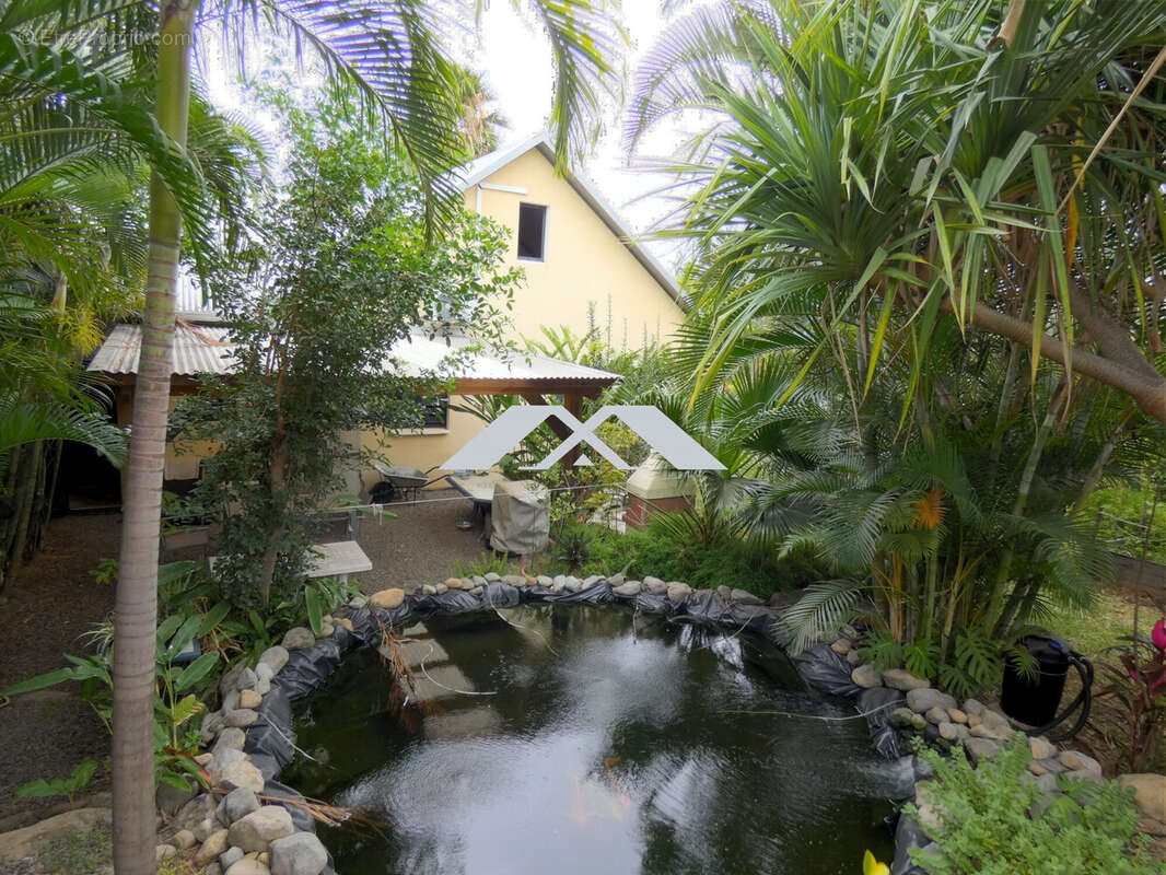 Maison à SAINT-LOUIS