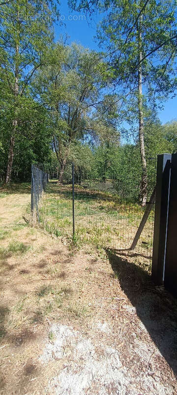 Terrain à LA FERTE-CHEVRESIS