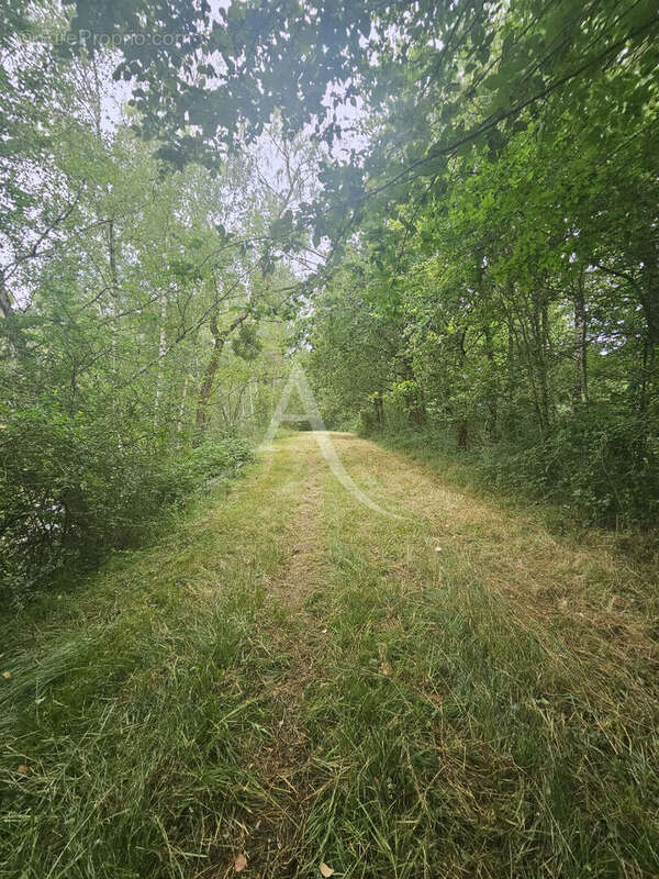 Terrain à CERE-LA-RONDE