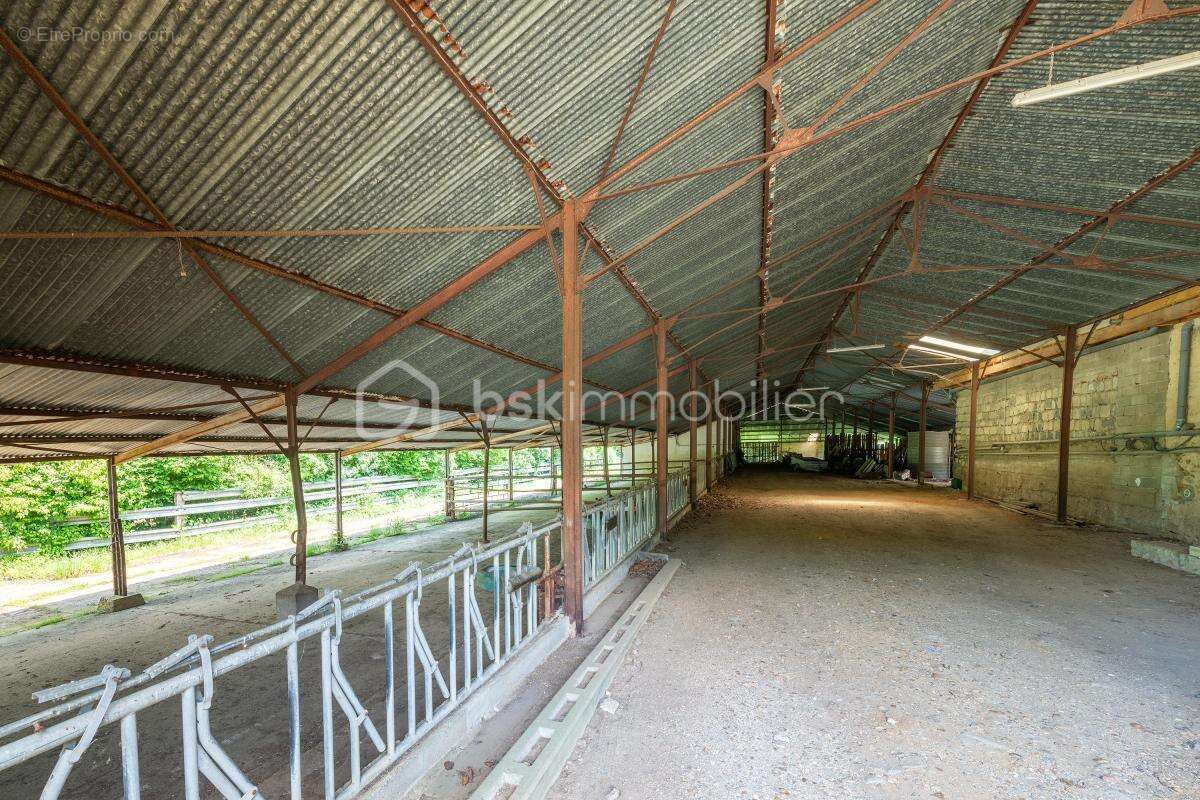 Propriété de caractère avec gîtes et dépendances sur 5 hectares - photo 12