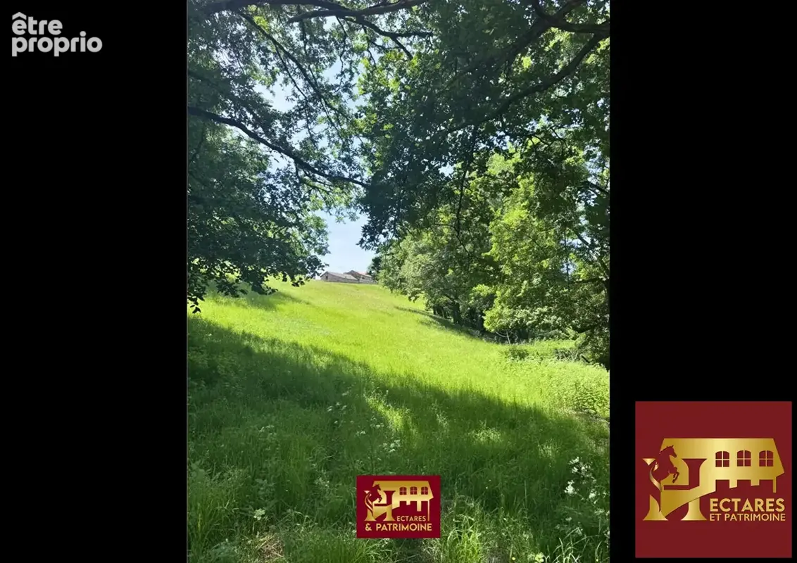 Domaine de caractère et activité touristique au coeur du haut-quercy - photo 6