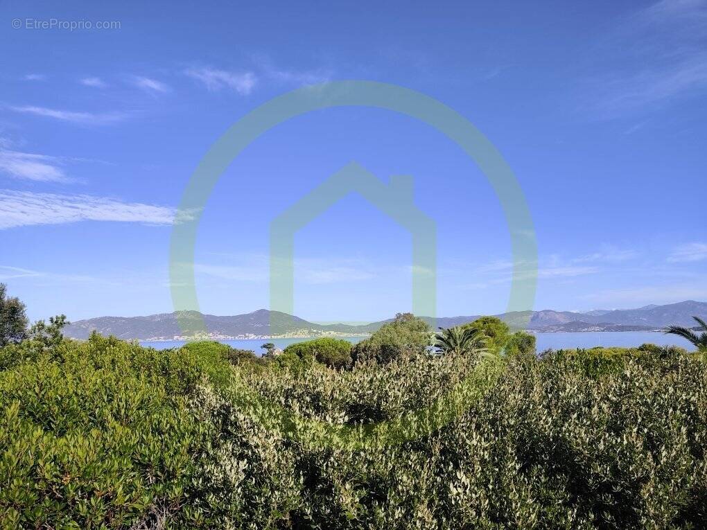 Maison à PIETROSELLA