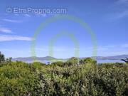 Maison à PIETROSELLA