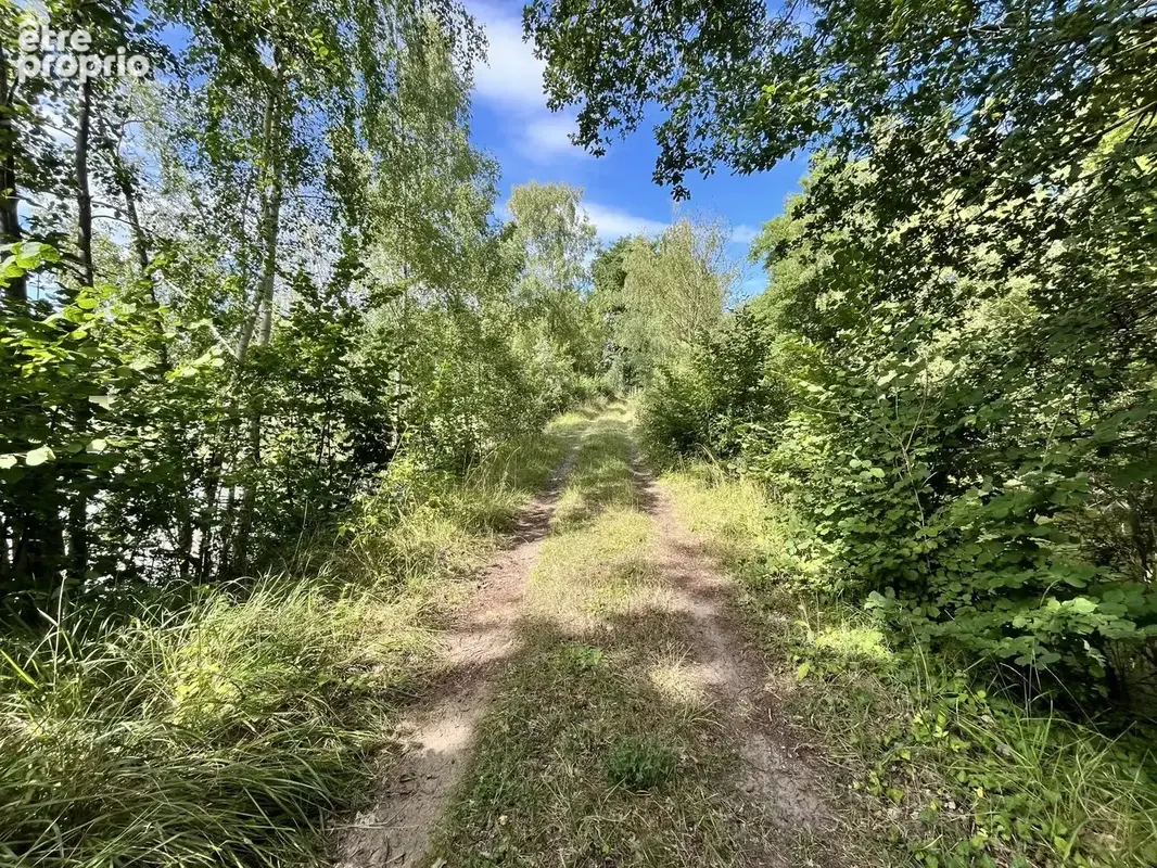 Vente Terrain Fismes(51170) 198 000ï¿œ - photo 7