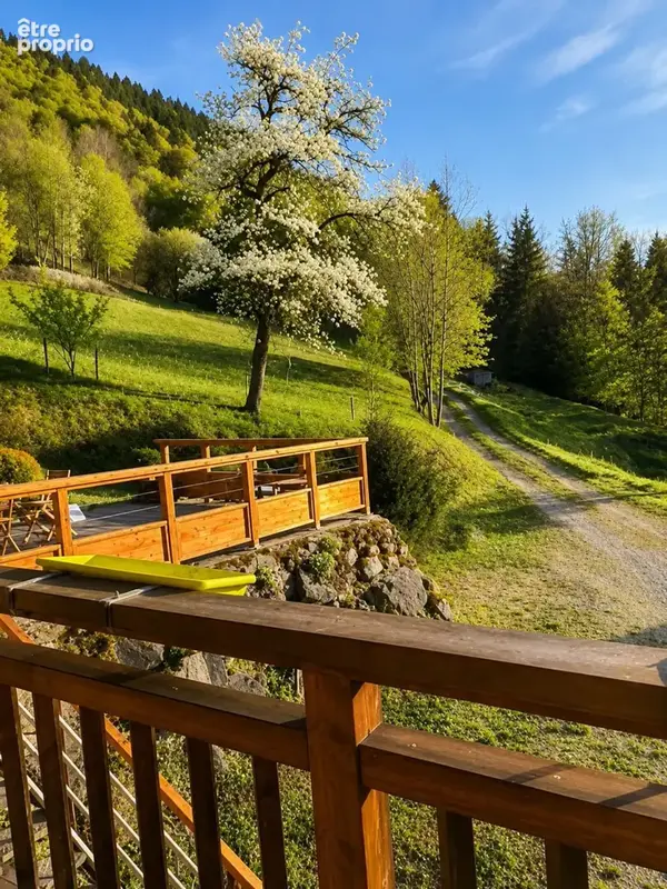 A vendre sur 2,4 ha en pleine nature 1 Chalet Rénové + 1 ancien chalet à réhabiliter - photo 8