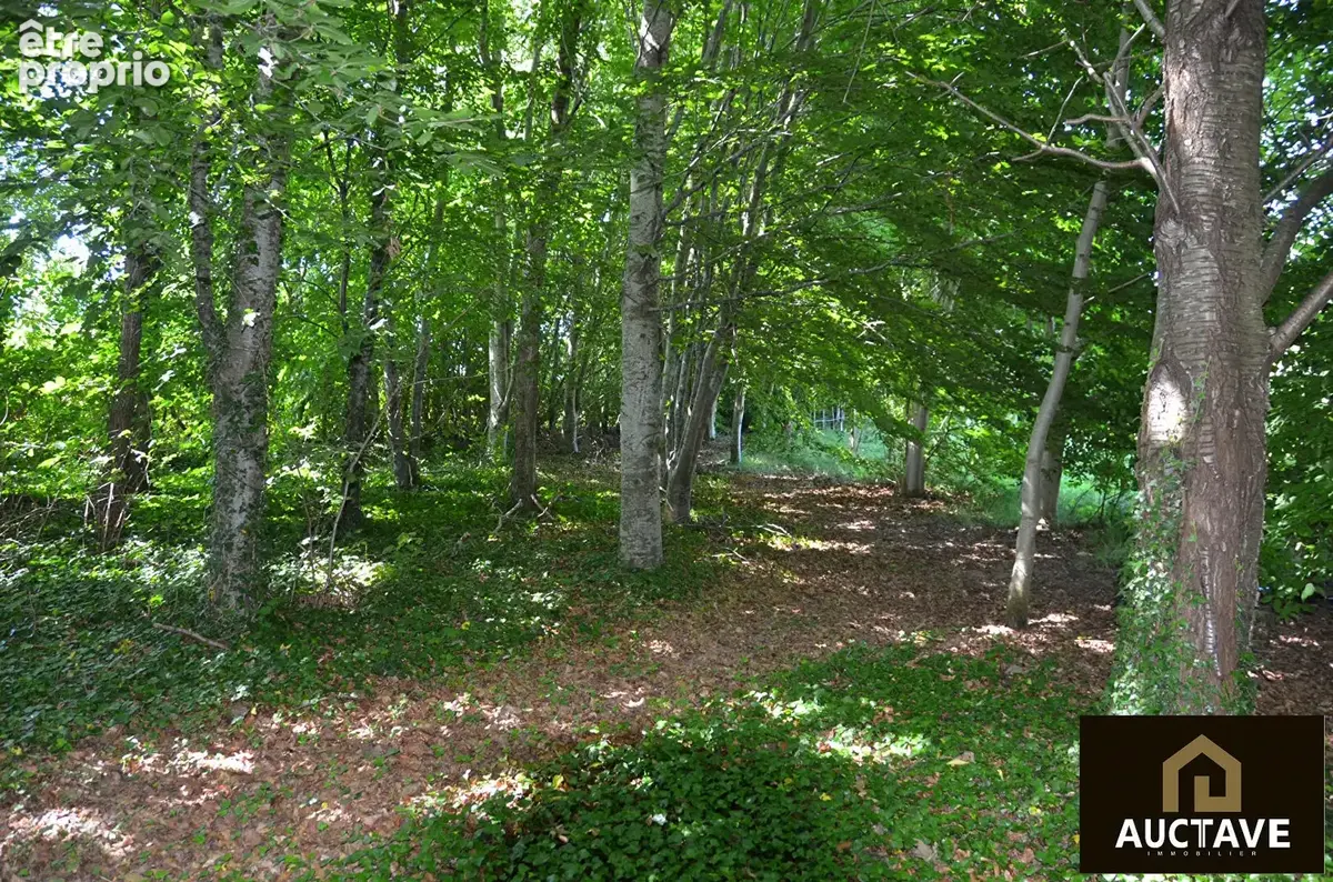 Manoir de caractère à Alençon sur 3.5 hectares,  fenêtres à meneaux, maison d'amis, 6 chambres - photo 2