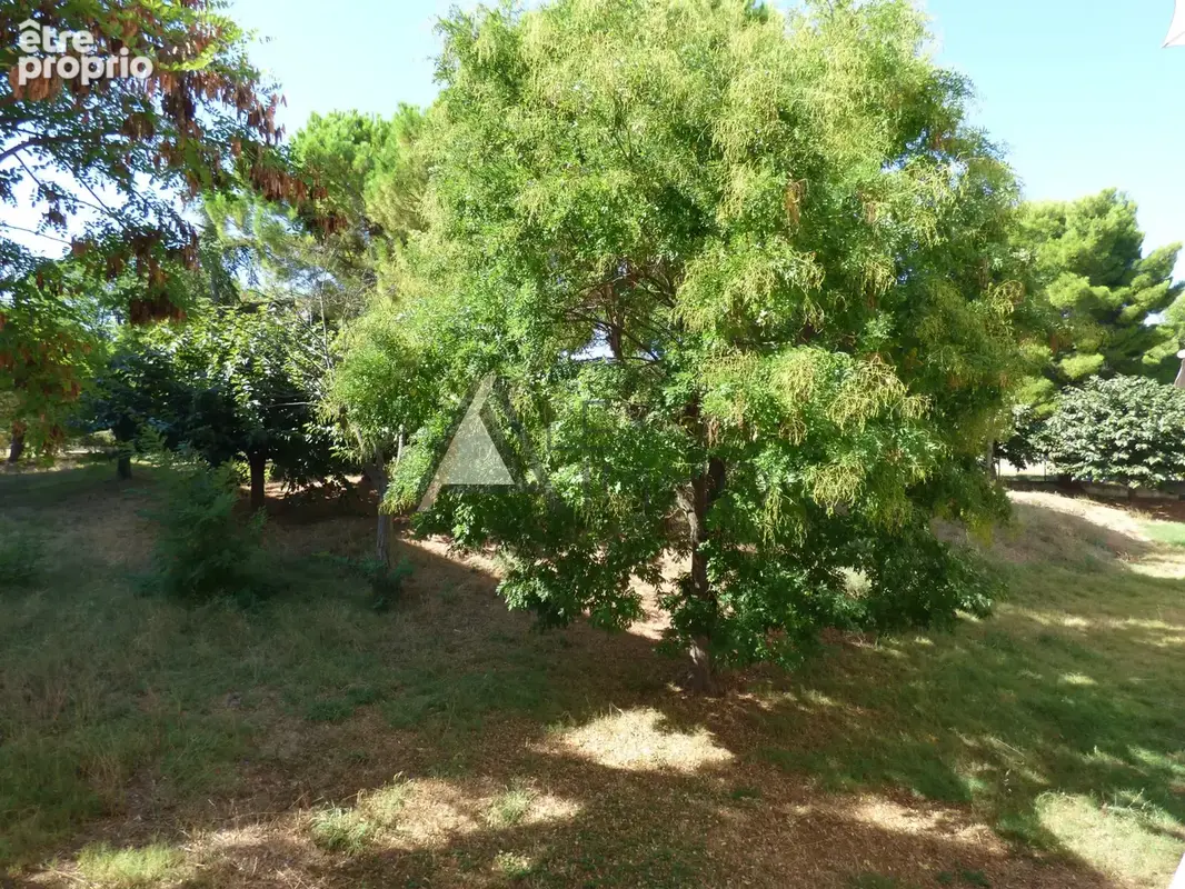 Appartement 5 pièces + plave privative - 102.44 m2 - Les Caillols 13011 Marseille - 245 000 €* - photo 4