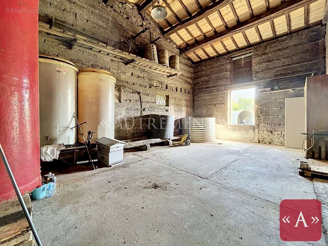 Ferme authentique - photo 17