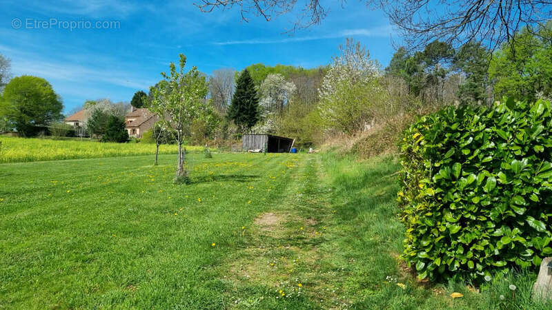 Maison PLAIN PIED avec PISCINE et grand terrain de 5000 m2 - photo 19