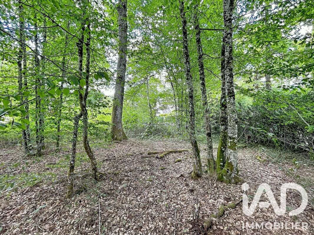 Terrain 893 m² à Courtenay  - photo 3
