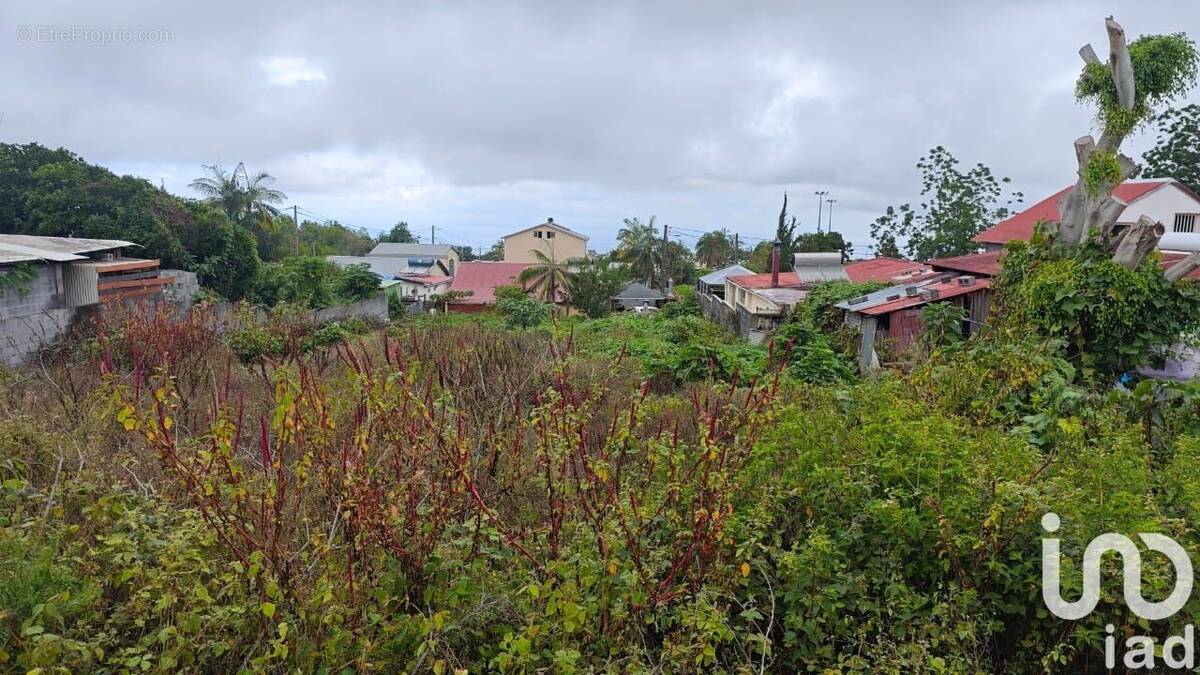 Photo 1 - Terrain à LE TAMPON