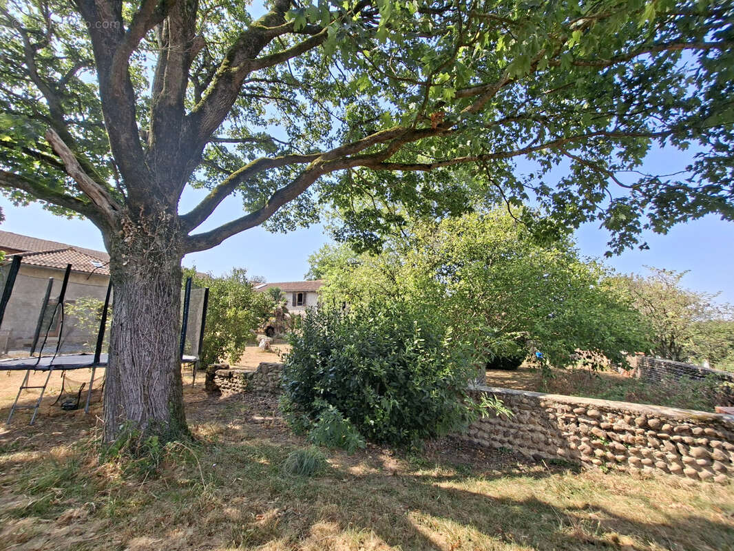Maison spacieuse avec gîte - photo 7