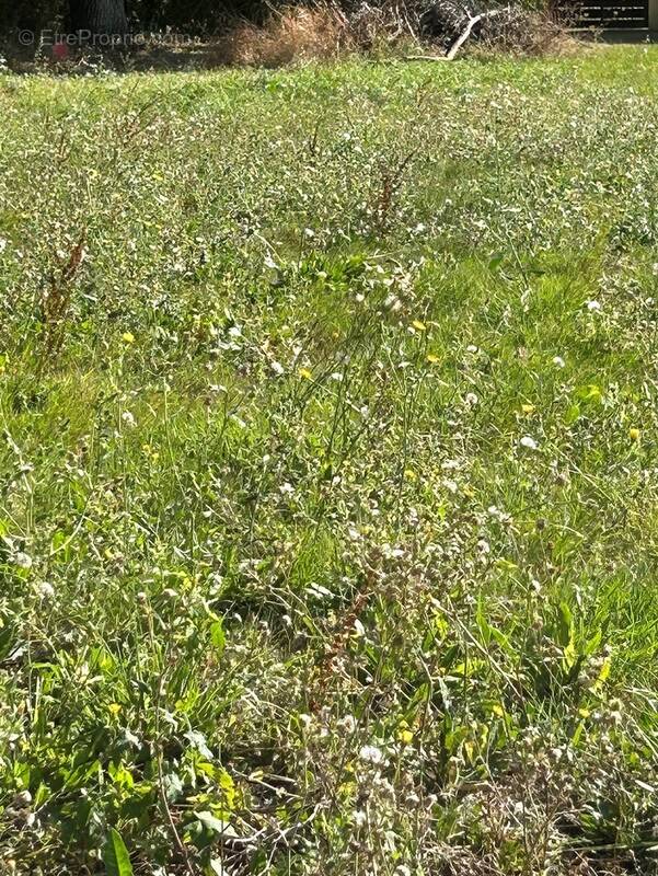 Terrain à LA PLAINE-SUR-MER