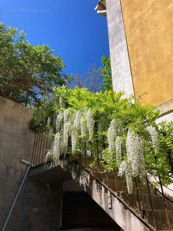 Photo 3 - Maison à LA ROQUE-D'ANTHERON