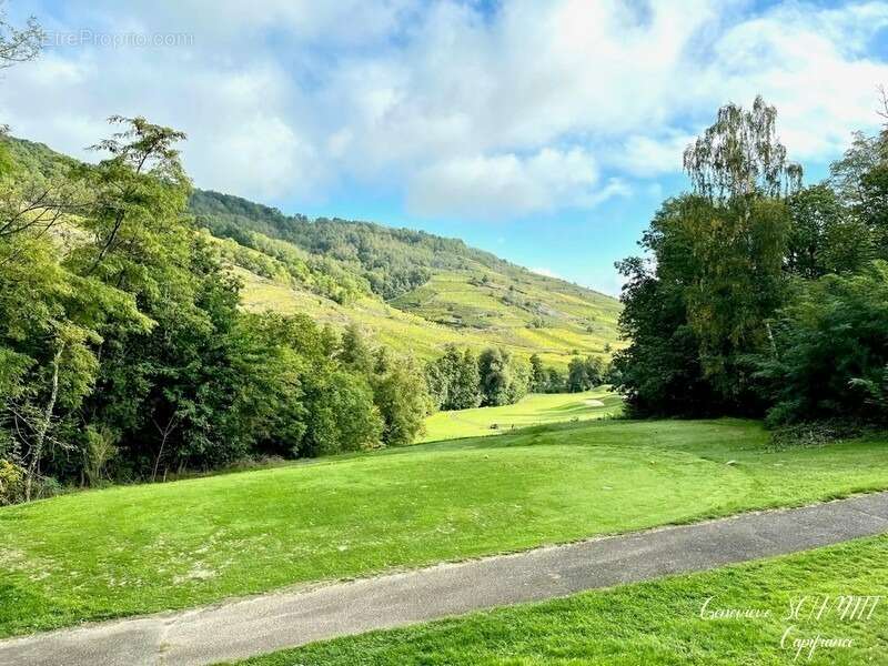 Appartement à AMMERSCHWIHR