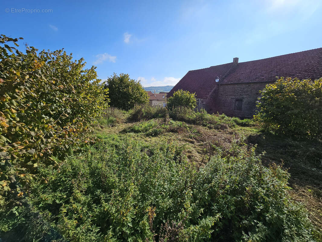 Terrain à BEAUNE