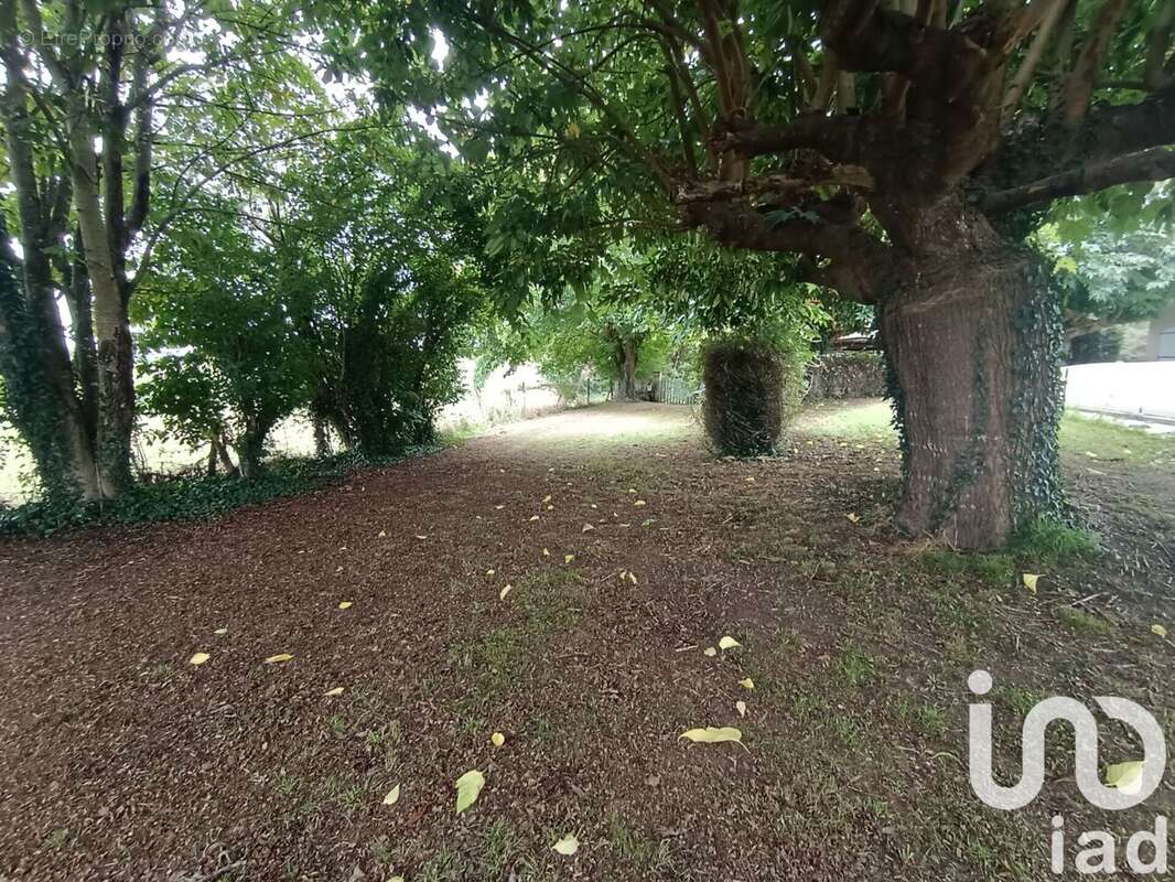 Photo 8 - Maison à VILLENEUVE-DE-MARSAN