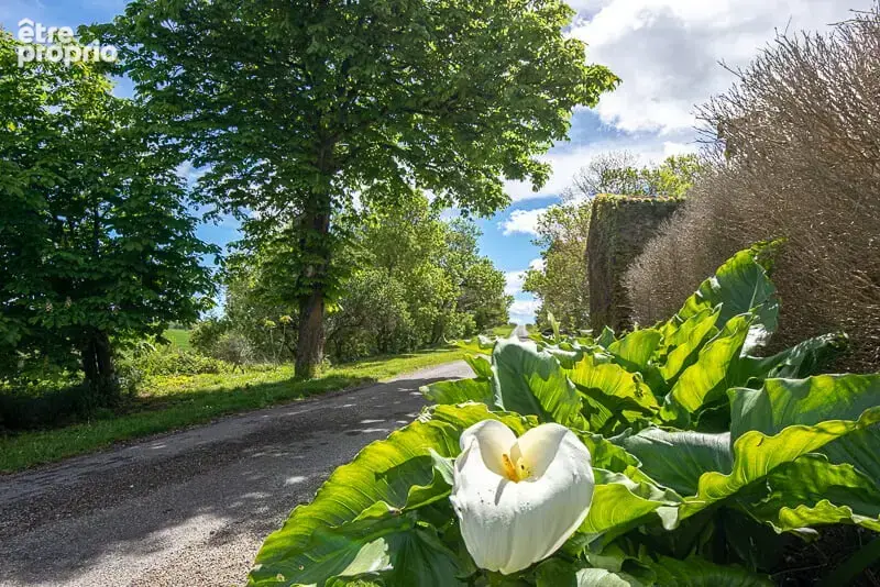 CHATEAU de famille du 17e siècle en très bon état à vendre à GIBEL - photo 21