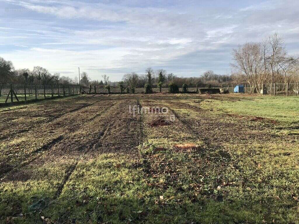 Terrain à DAUBENSAND