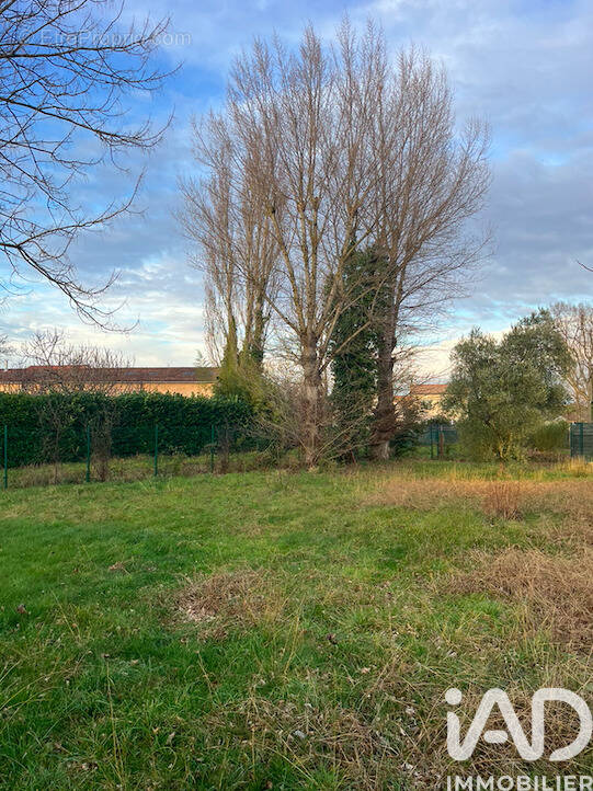 Photo 1 - Terrain à FONSORBES