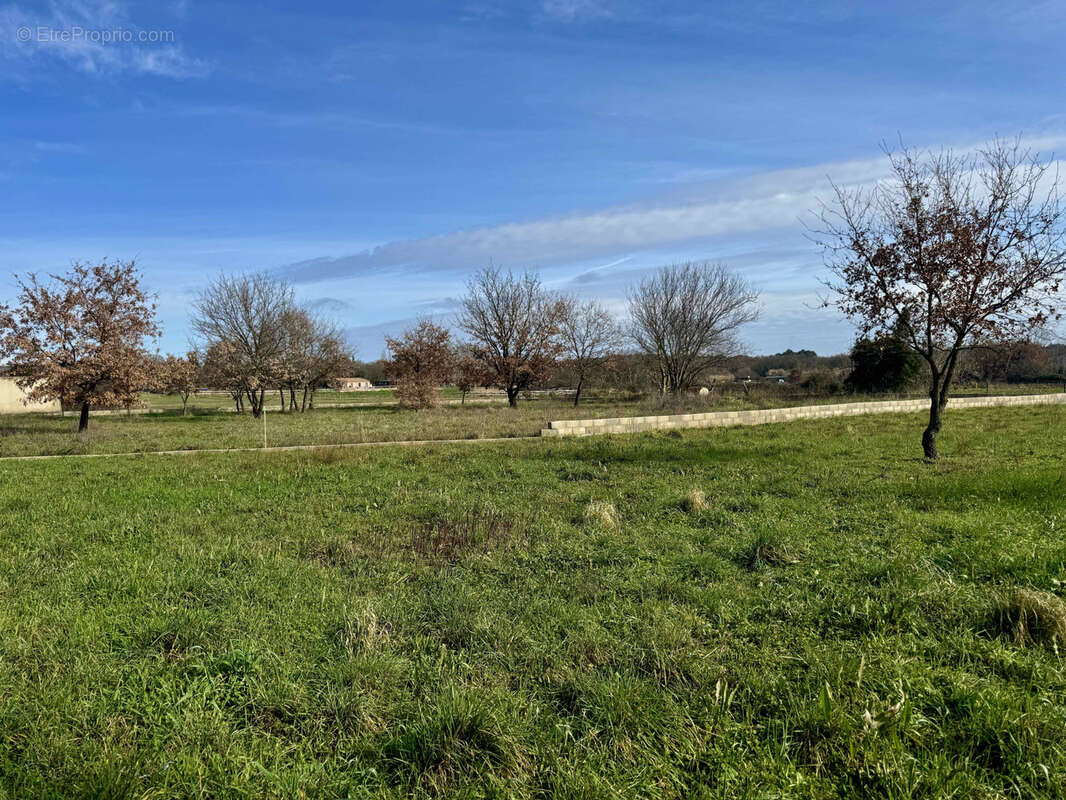 Terrain à LA BRUGUIERE