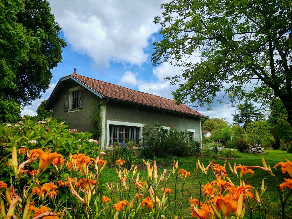 Maison à POUILLON