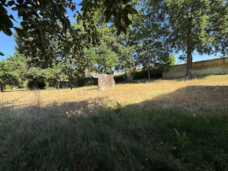 Terrain à vendre  à proximité de Seiches sur le Loir (49) Terrain 724 M² - photo 2