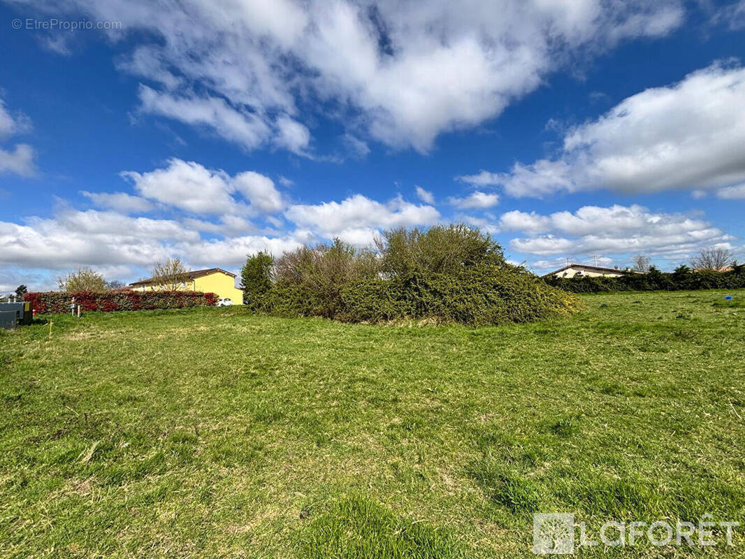 Terrain à SAINT-ANDRE-DE-CUBZAC