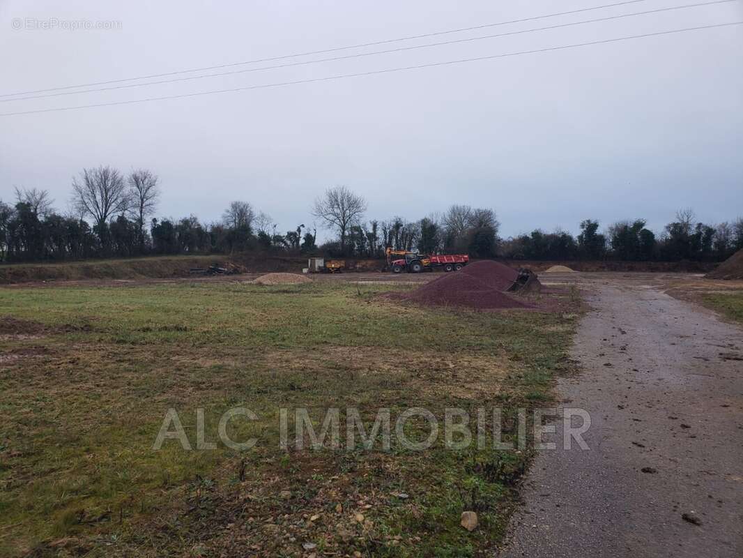 Terrain à LE MERLERAULT