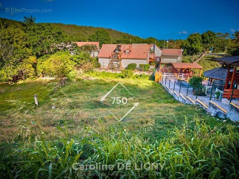 Terrain à vendre  DESHAIES (971) - photo 4