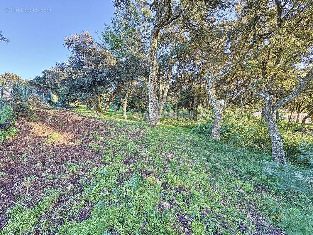 Terrain à TANNERON