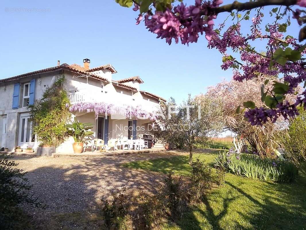 Photo 2 - Maison à DAMAZAN