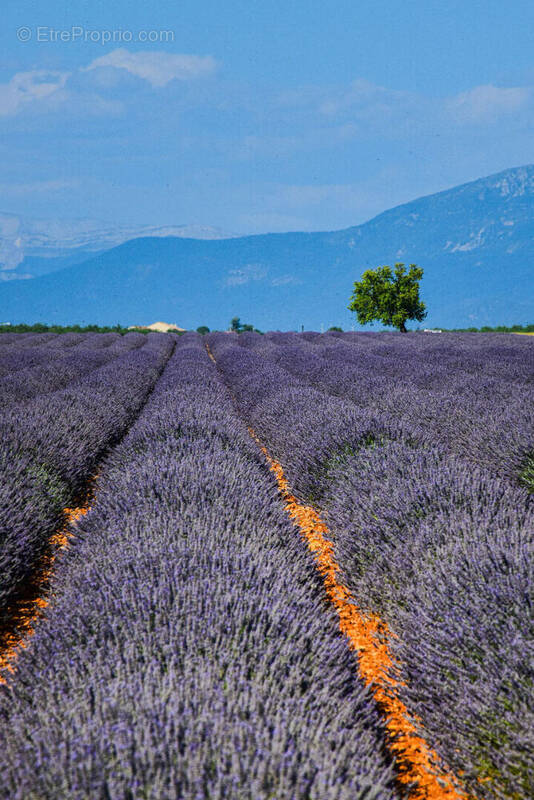 Terrain à L'ISLE-SUR-LA-SORGUE