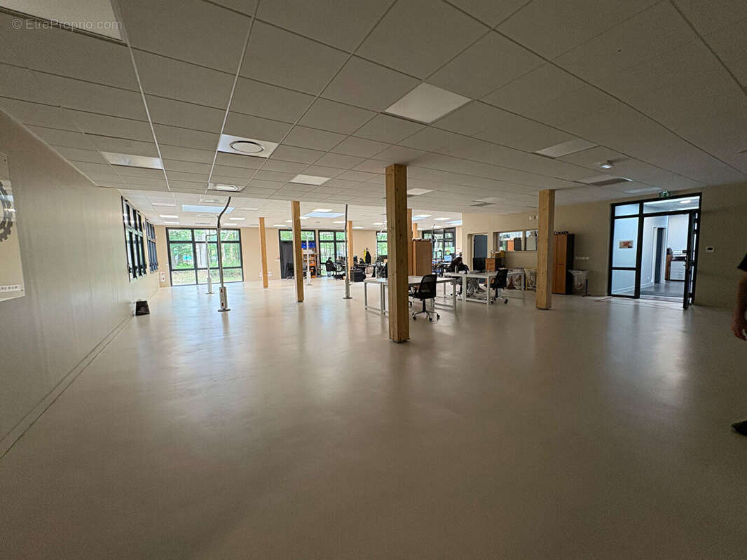 Commerce à SAINT-ETIENNE-DU-ROUVRAY