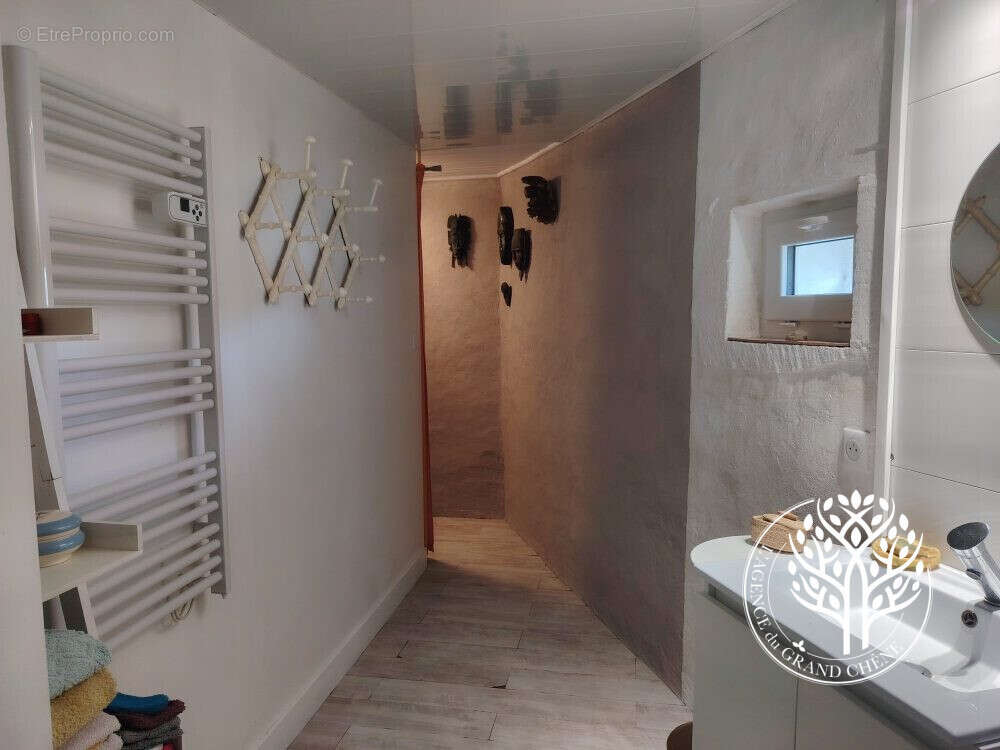 salle d eau - Maison à SAINT-SAVINIEN